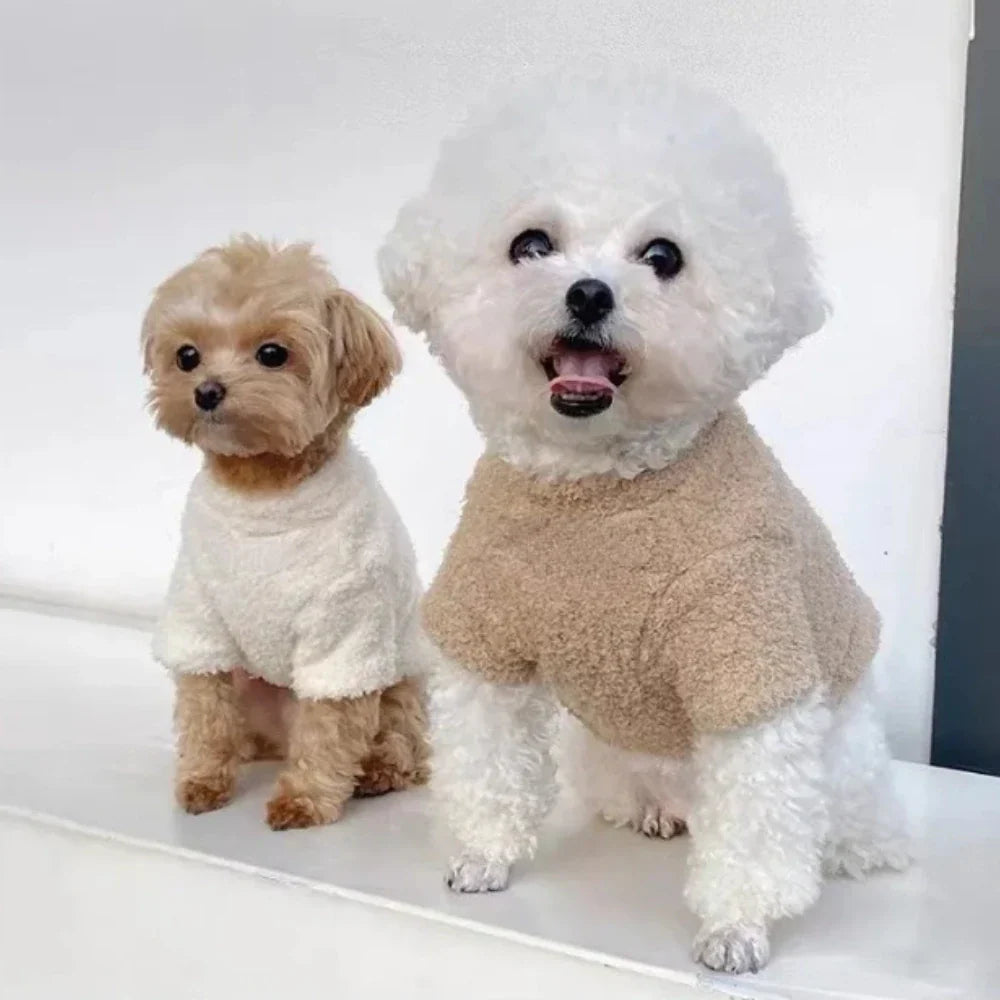 Dog Sweater for Small Dogs